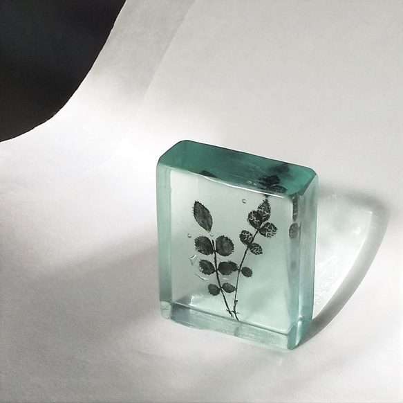 「Botanical Cube/ノイバラ」ガラス　植物標本　ペーパーウェイト 3枚目の画像