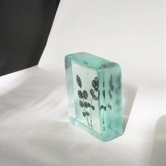 「Botanical Cube/ノイバラ」ガラス　植物標本　ペーパーウェイト 4枚目の画像