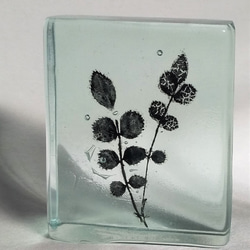 「Botanical Cube/ノイバラ」ガラス　植物標本　ペーパーウェイト 2枚目の画像
