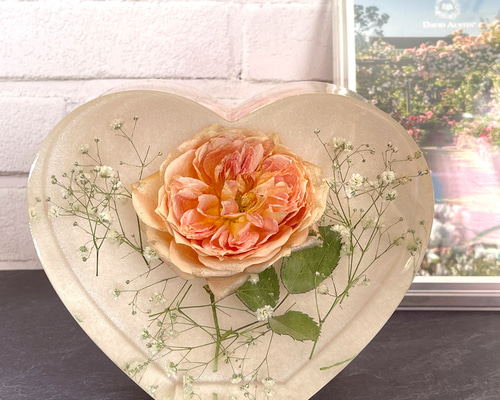 294e0faa1dcf4e8ca309b2b2fc9c4c