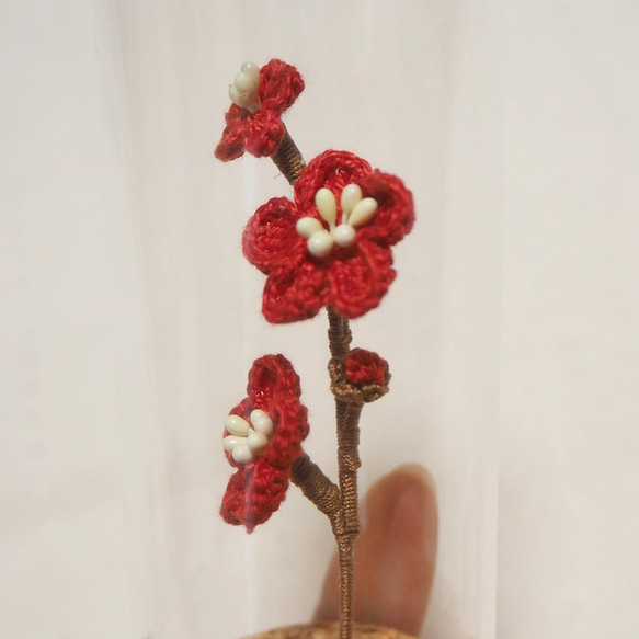 梅の花‎❀ガラスボトルのお花インテリア 5枚目の画像