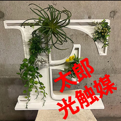 光触媒 人工観葉植物 ウォールグリーン フェイクグリーン ウッド