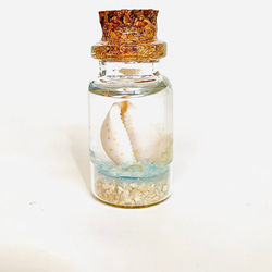 閃光貝殼圖案玻璃瓶 第1張的照片