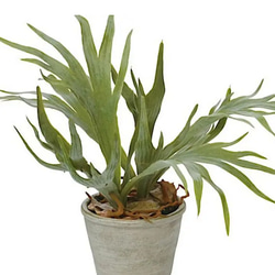 光触媒人工観葉植物ウォールグリーンフェイクフラワーハンドメイド　コウモリラン鉢付き 2枚目の画像