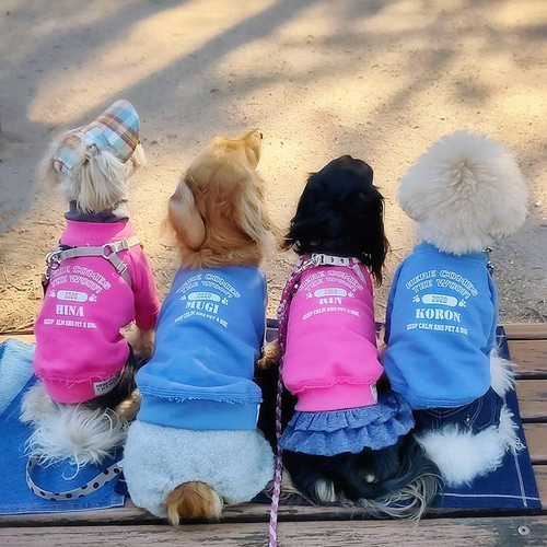 古着から犬の服へ