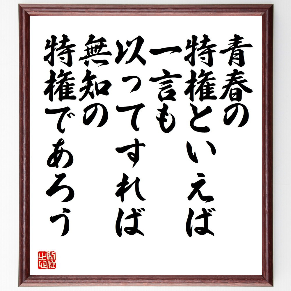 名言「青春の特権といえば、一言も以ってすれば無知の特権であろう」手書き書道色紙額／受注後の毛筆直筆（V1877）