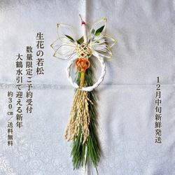 予約受付｜数量限定】天然若松×紅白水引の迎春飾り 2026｜正月飾り