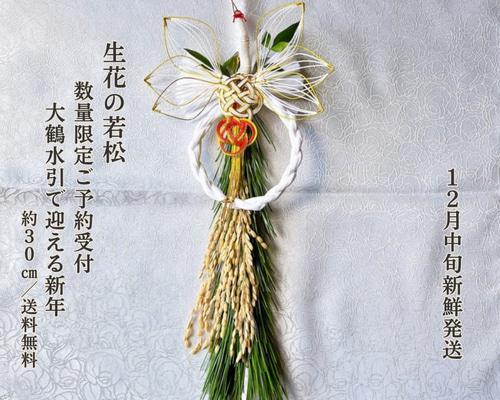 efecd59ed824824883e25dc962d4ed