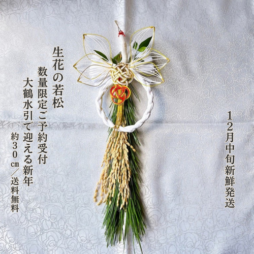 30.若松しめ縄 予約受付】天然若松と大鶴の水引飾り 数量限定 2026 正月飾り しめ縄