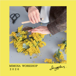 スワッグ ミモザ ユーカリ S スワッグ JUGGLERS 通販 15353558｜Creema