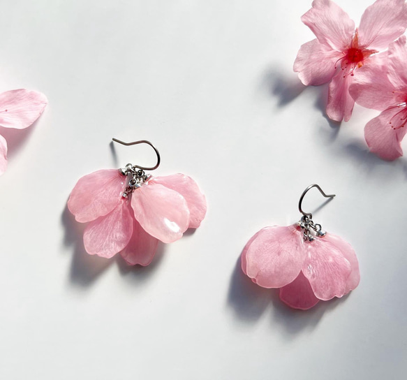 本物の桜 桜の花びら耳飾り(ピアスorイヤリング) 花びら5枚♢Sakura 