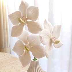 専用　クレイフラワー　胡蝶蘭とラベンダー 樹脂粘土の花17】胡蝶蘭How to Make Cute Clay Flowers at Home