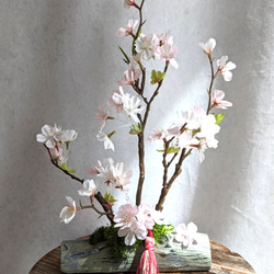日本現代櫻花室內佈置現在的入口 第1張的照片
