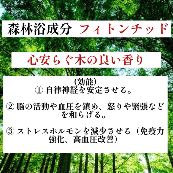 【世界に1本だけ】屋久杉のボールペン・長寿を祈る贈り物に CC1075 6枚目の画像