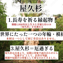 【世界に1本だけ】屋久杉のボールペン・長寿を祈る贈り物に CC1075 5枚目の画像