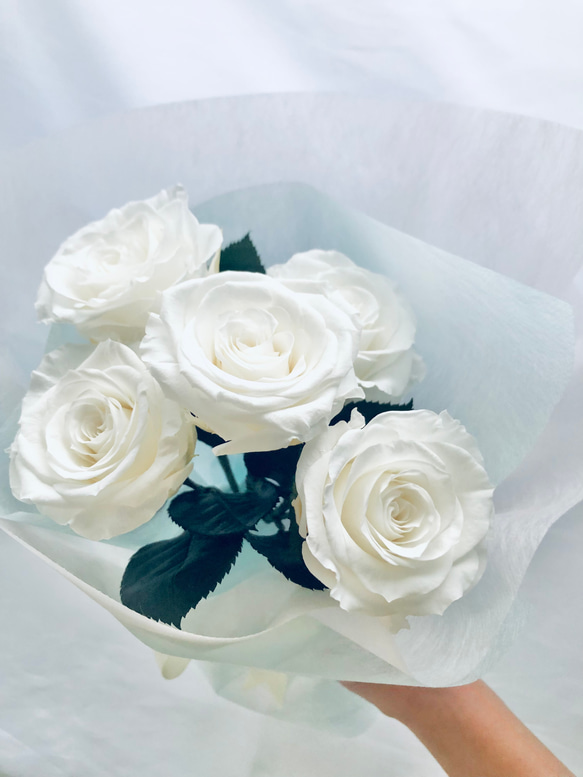プリザーブドフラワー白い大輪の薔薇5本のふんわり花束ラッピング 1枚目の画像