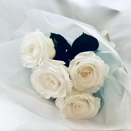プリザーブドフラワー白い大輪の薔薇5本のふんわり花束ラッピング