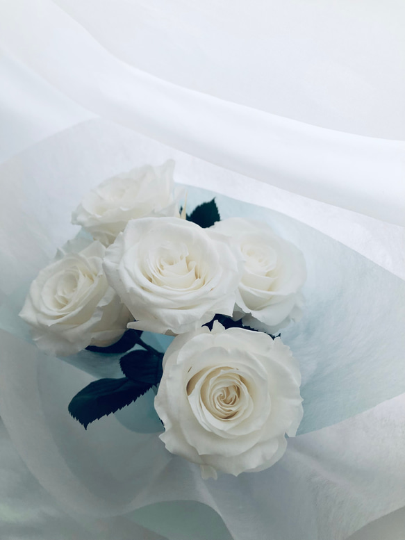 プリザーブドフラワー白い大輪の薔薇5本のふんわり花束ラッピング 5枚目の画像