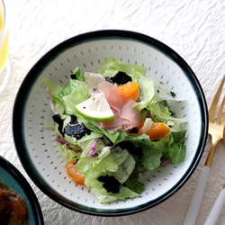小石原燒 Koishiwarayaki Medium Plate Curry Plate Salad Bowl Bowl Shu 第2張的照片