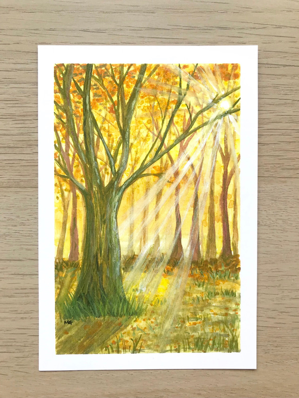 3枚セット秋のポストカード, 秋アート, パンプキン, きのこ, 紅葉 4枚目の画像