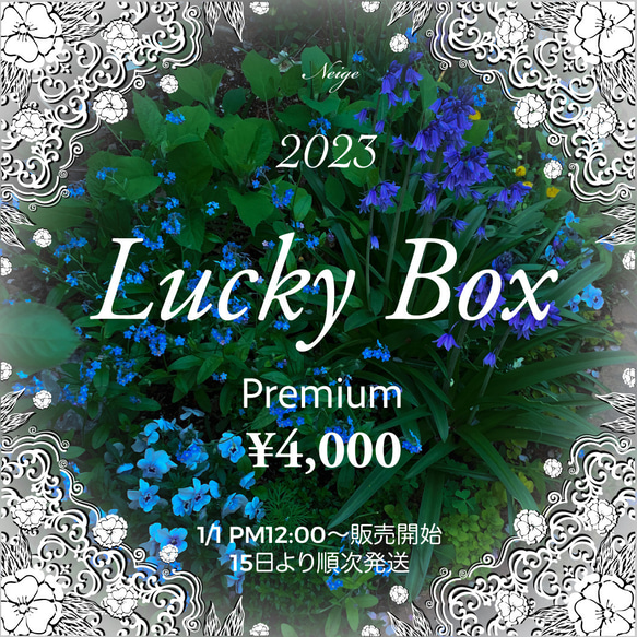 2023年 Plemium ¥4,000 【1／10まで受付中】【creema限定新春福袋】 1枚目の画像