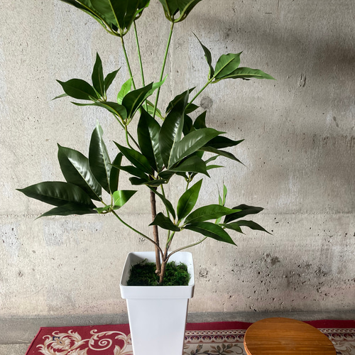 光触媒　人工観葉植物　ウォールグリーン　フェイクグリーン　ツピタンサス11 光触媒人工観葉植物ウォールグリーンフェイクフラワーハンドメイド