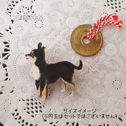 木胸針 chihuahua 黑色光滑 chihuahua 第3張的照片