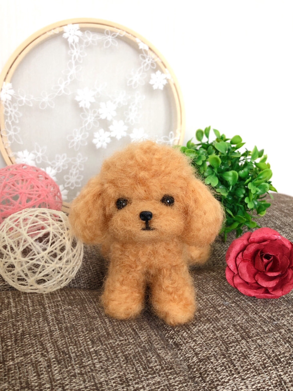 羊毛フェルト トイプードル伏せ（アプリコットちゃん） 羊毛フェルト 