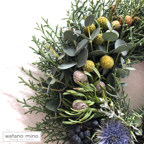 春を迎えるコニファーリースS グリーンリース 森の香り ユーカリ プチ