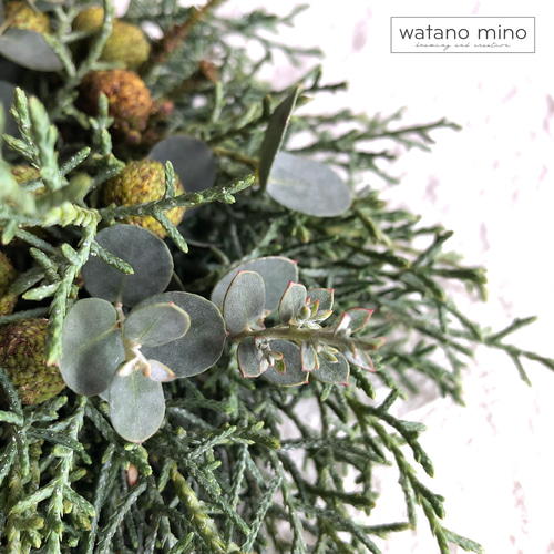 春を迎えるコニファーリースS グリーンリース 森の香り ユーカリ