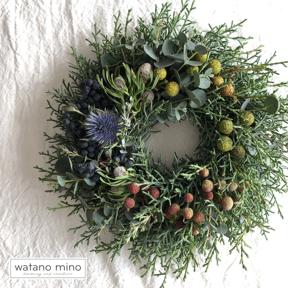 春を迎えるコニファーリースS グリーンリース 森の香り ユーカリ プチ