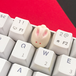 うさぎさん専用【オーダーメイド】キーボードジョイスティック 9b9f1789a8146dfd2384eeb8c7d414