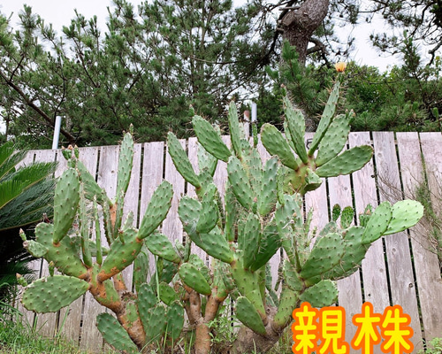 9837b570d922a051b16f5d4442a01b