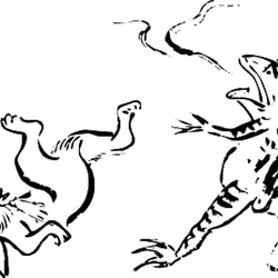 鳥獣戯画　ドライ　Tシャツ　ウサギ　カエル　兎　蛙　グッズ　アニマル 2枚目の画像