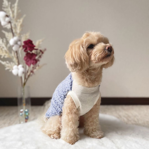 犬服！ふわふわシープボア×オートミール⭐︎袖なし♪全3色XS