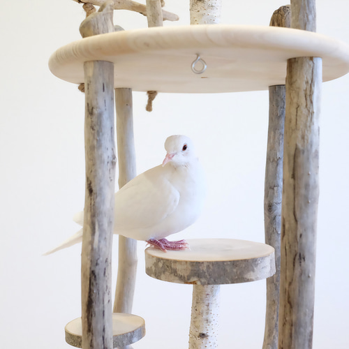 流木バードアスレチック M おもちゃ・ペット小物 Driftwood and
