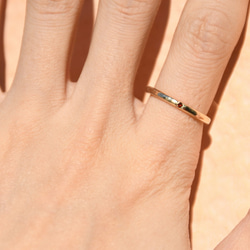 日常を照らす物語～ガーネット～ 8枚目の画像