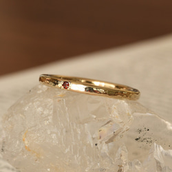 日常を照らす物語～ガーネット～ 5枚目の画像