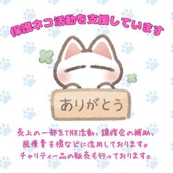 キッチンの侵入防止にも最適！　ネコちゃん脱走防止ドア　※片開タイプ 16枚目の画像