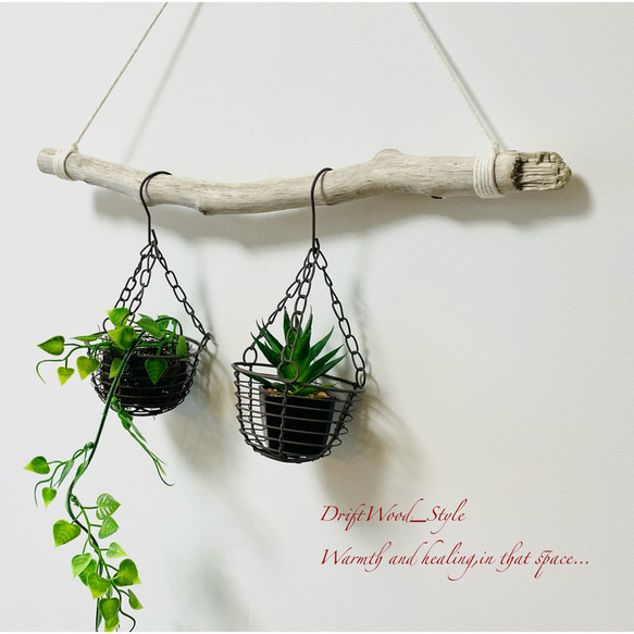 流木インテリア シンプルな天然流木のハンガー フック無し 流木ハンガー ハンギング 北欧 No.176 3枚目の画像