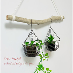 流木インテリア シンプルな天然流木のハンガー フック無し 流木ハンガー ハンギング 北欧 No.176 2枚目の画像