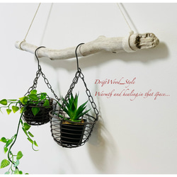 流木インテリア シンプルな天然流木のハンガー フック無し 流木ハンガー ハンギング 北欧 No.176 4枚目の画像