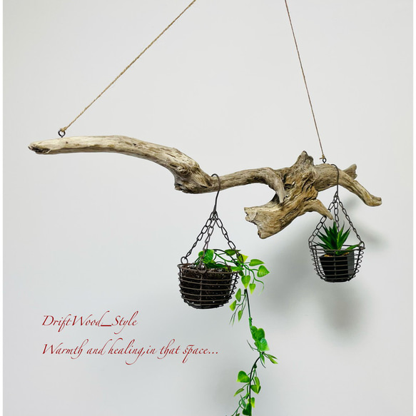 流木インテリア 木の根とコブが美しい天然流木のハンガーラック 北欧 衣装掛け ハンギング 吊り下げ エアプラント 癒し 5枚目の画像