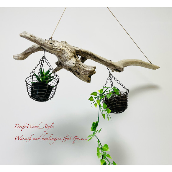 流木インテリア 木の根とコブが美しい天然流木のハンガーラック 北欧 衣装掛け ハンギング 吊り下げ エアプラント 癒し 4枚目の画像