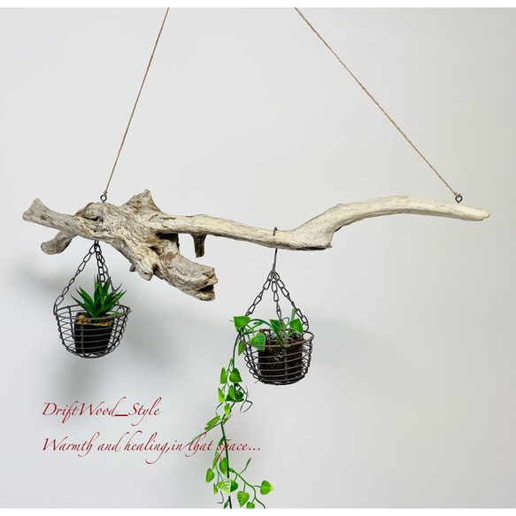 流木インテリア 木の根とコブが美しい天然流木のハンガーラック 北欧 衣装掛け ハンギング 吊り下げ エアプラント 癒し 1枚目の画像