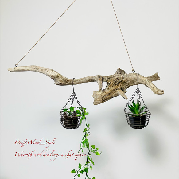 流木インテリア 木の根とコブが美しい天然流木のハンガーラック 北欧 衣装掛け ハンギング 吊り下げ エアプラント 癒し 2枚目の画像