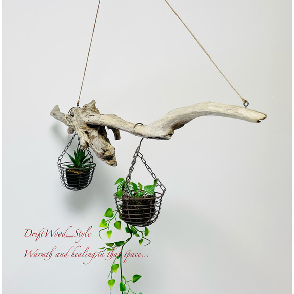 流木インテリア 木の根とコブが美しい天然流木のハンガーラック 北欧 衣装掛け ハンギング 吊り下げ エアプラント 癒し 6枚目の画像