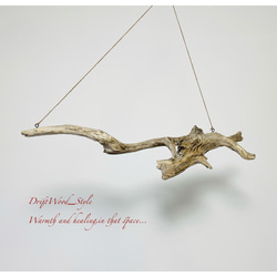 流木インテリア 木の根とコブが美しい天然流木のハンガーラック 北欧 衣装掛け ハンギング 吊り下げ エアプラント 癒し 9枚目の画像