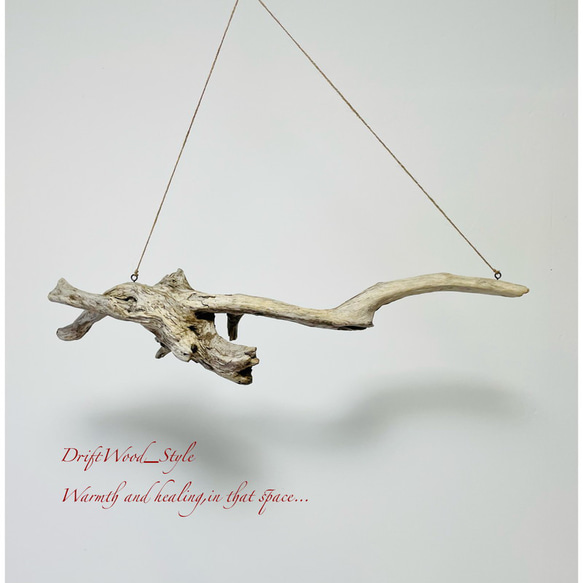 流木インテリア 木の根とコブが美しい天然流木のハンガーラック 北欧 衣装掛け ハンギング 吊り下げ エアプラント 癒し 10枚目の画像