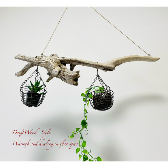 流木インテリア 木の根とコブが美しい天然流木のハンガーラック 北欧 衣装掛け ハンギング 吊り下げ エアプラント 癒し 3枚目の画像